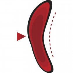 Buty robocze MANHATTAN S3 SRC